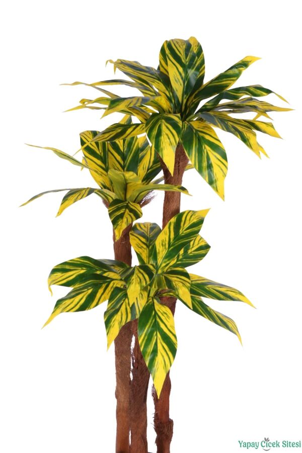 3 Gövdeli Beyaz Saksıda Yapay Botanik Ağaç 130 cm Sarı-Yeşil - 4