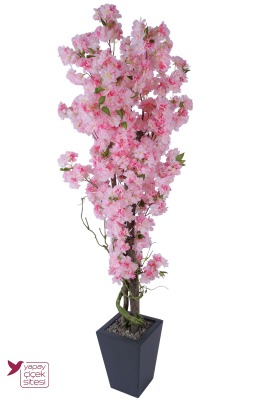 Ahşap Saksıda Yapay Premium Bahar Dalı Ağacı 195 cm Karşılama Alanı Dekorasyonu - 3