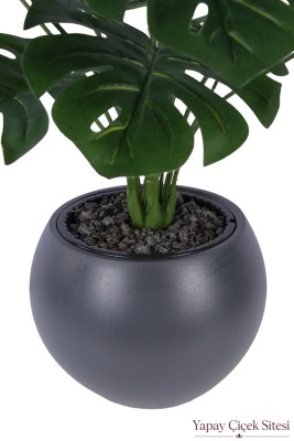 Antrasit Küre Saksıda Yapay Monstera Deve Tabanı Ağacı 105 cm - 5