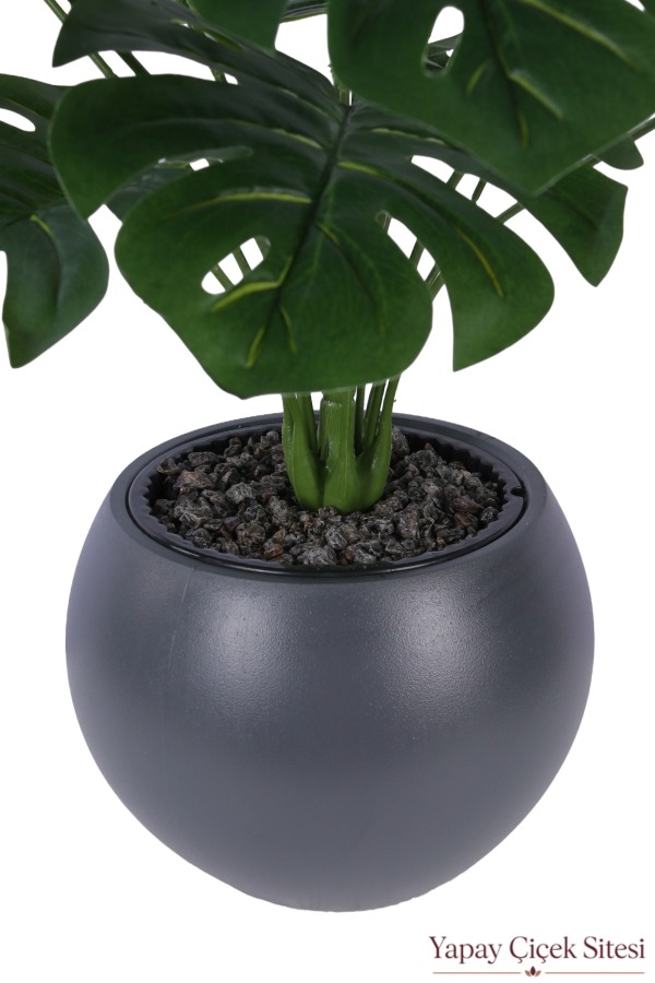 Antrasit Küre Saksıda Yapay Monstera Deve Tabanı Ağacı 105 cm - 5
