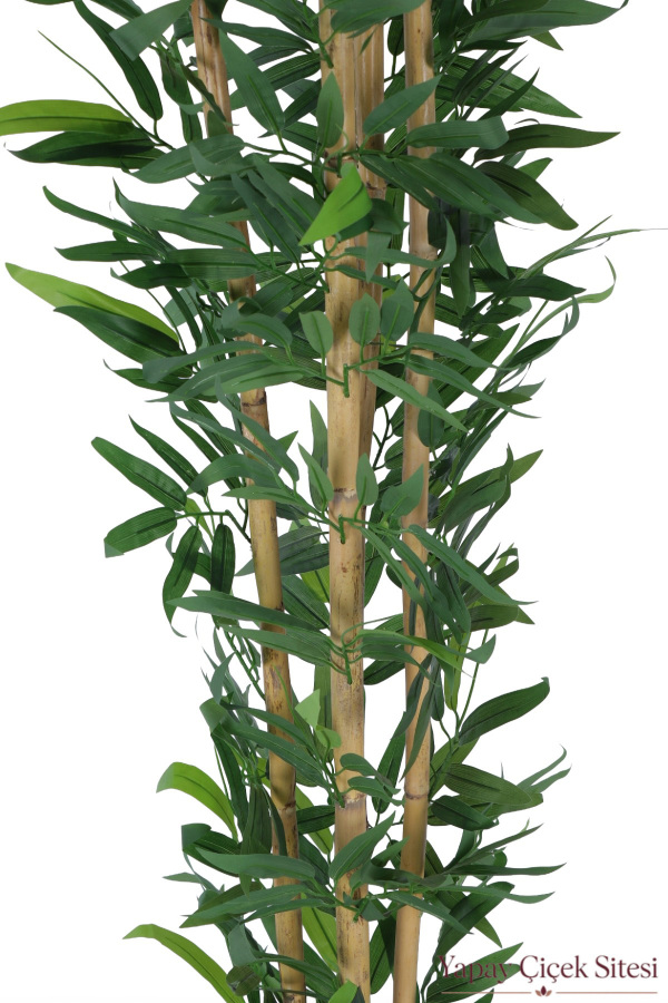  Beyaz Küre Saksıda 4 Gövdeli Yapay Bambu Ağacı 150 cm - 2