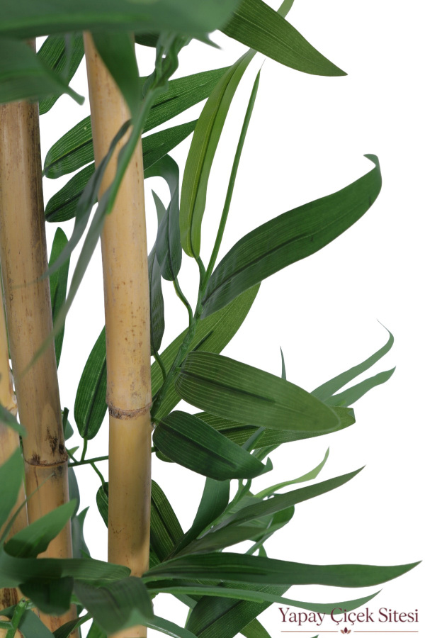 Beyaz Küre Saksıda 4 Gövdeli Yapay Bambu Ağacı 150 cm - 3