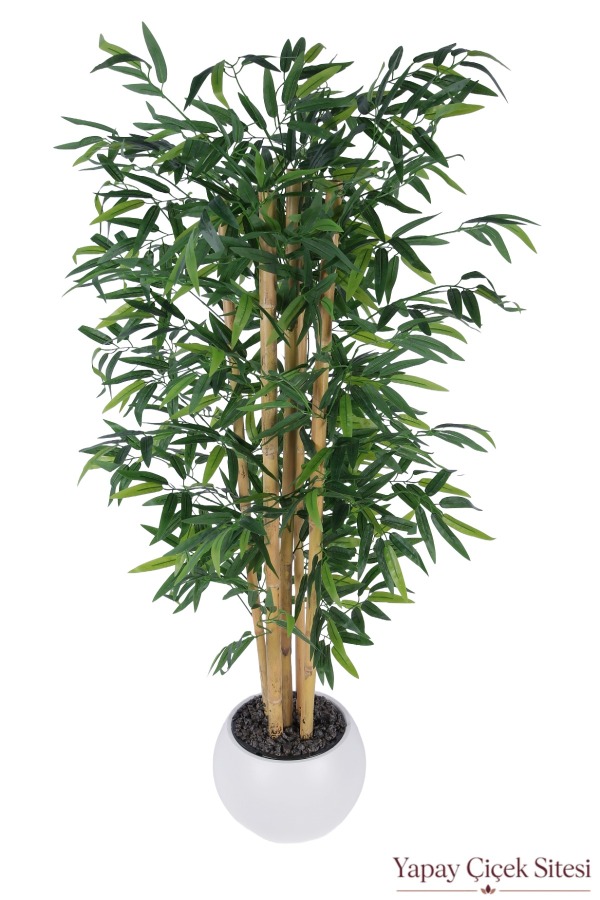 Beyaz Küre Saksıda 5 Gövdeli Yapay Bambu Ağacı 130 cm - 1