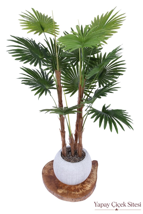Bohem Küre Saksıda Yapay Palmiye Fanpalm Ağacı 155 cm - 1