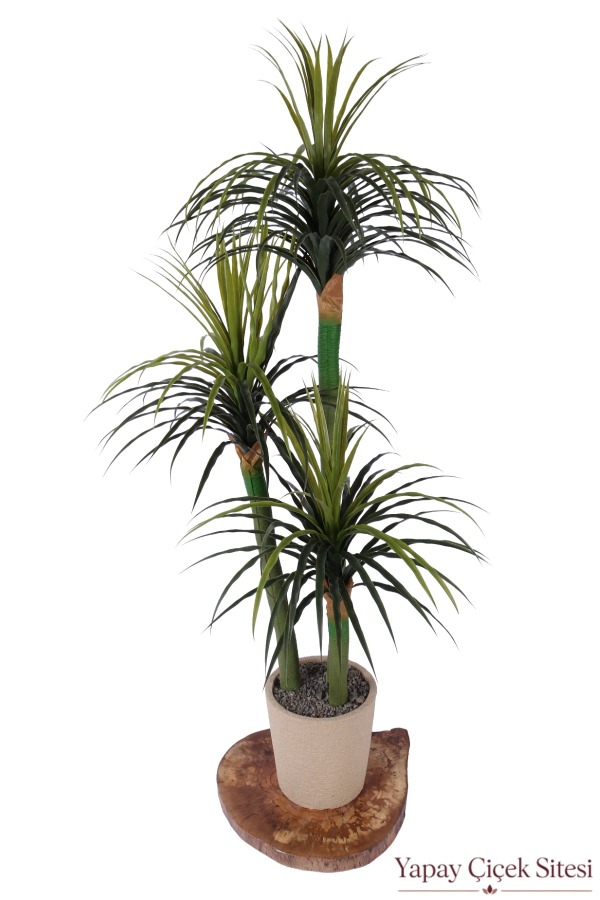  Bohem Saksıda Yapay 3 Gövdeli Drasena Marginata Ağacı 190 cm Yeşil - 1