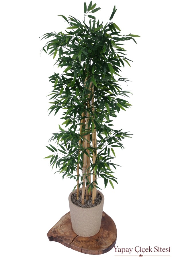Bohem Saksıda Yapay 7 Gövdeli Bambu Ağacı 180 cm - 1