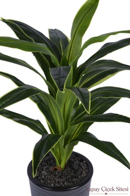 Dalgalı Saksıda Yapay Dracena Ağacı 130 cm - 2