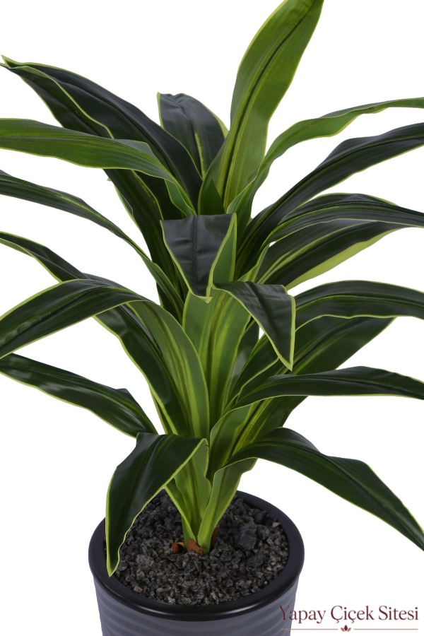 Dalgalı Saksıda Yapay Dracena Ağacı 130 cm - 2
