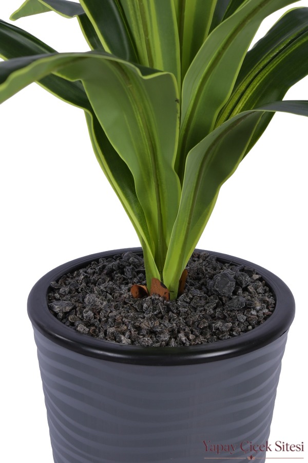 Dalgalı Saksıda Yapay Dracena Ağacı 130 cm - 4