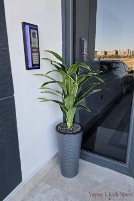 Dalgalı Saksıda Yapay Dracena Ağacı 130 cm - 6