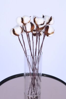 Doğal Beyaz Pamuk Çiçeği 10lu 30 cm - 3