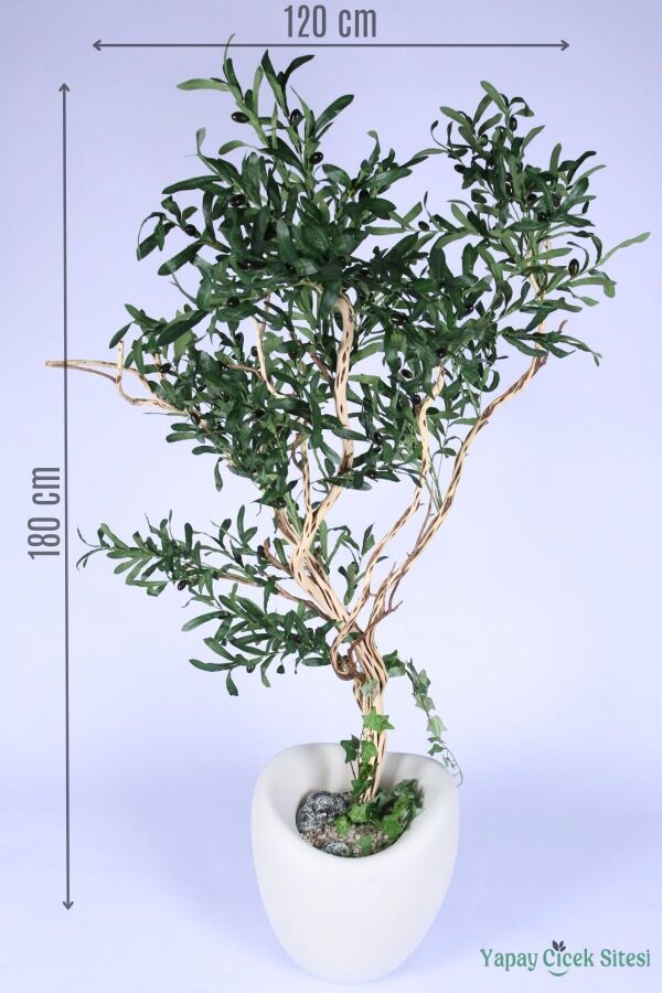 Fiber Saksıda Bonsai Gövdeli Premium Yapay Zeytin Ağacı 180 cm - 1