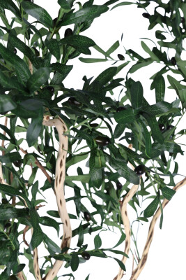 Fiber Saksıda Bonsai Gövdeli Premium Yapay Zeytin Ağacı 180 cm - 4