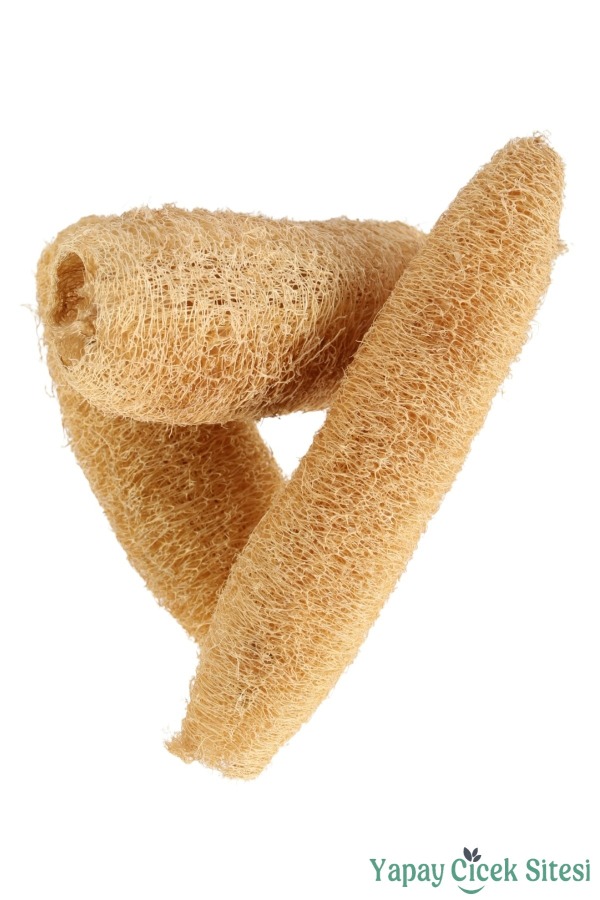 Kuru Çiçek Doğal Tropikal Luffa 17 cm 3lü - 1