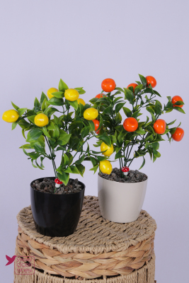 Plastik Saksıda Yapay Mini Limon & Mandalina Tanzimi 2’li Set 33 cm - Yapay Çiçek Sitesi