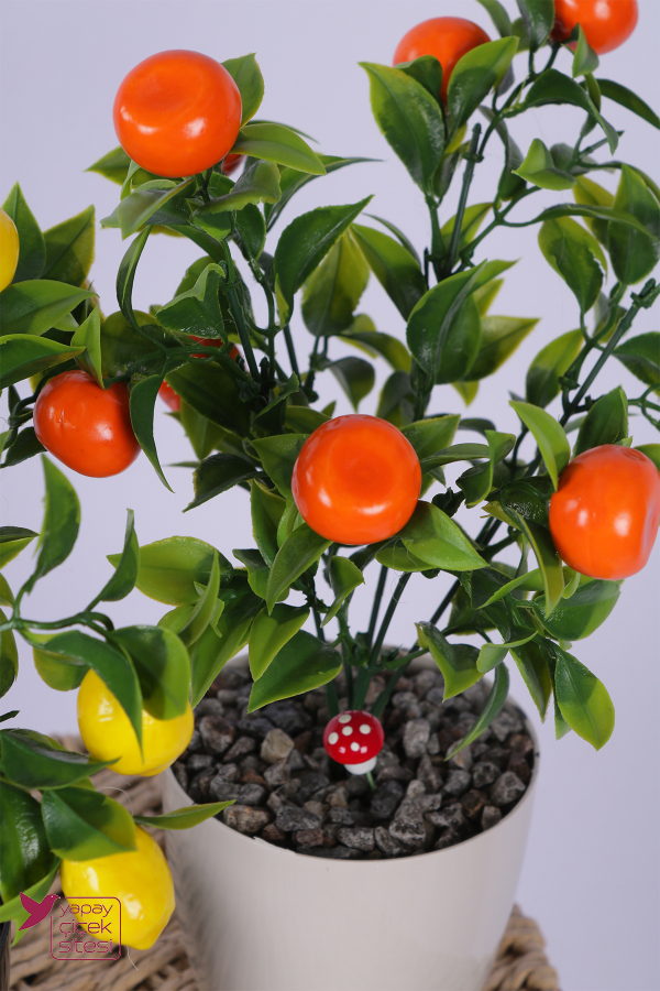 Plastik Saksıda Yapay Mini Limon & Mandalina Tanzimi 2’li Set 33 cm - 2