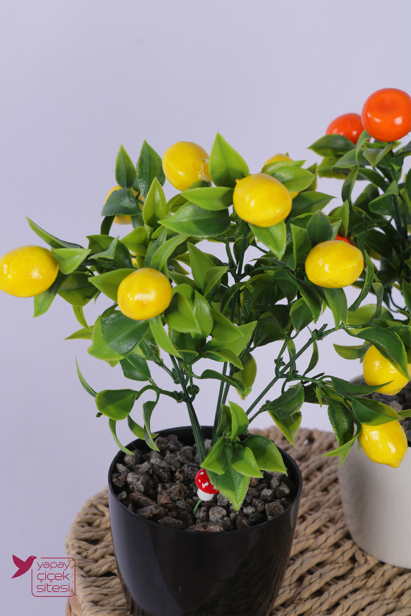 Plastik Saksıda Yapay Mini Limon & Mandalina Tanzimi 2’li Set 33 cm - 3