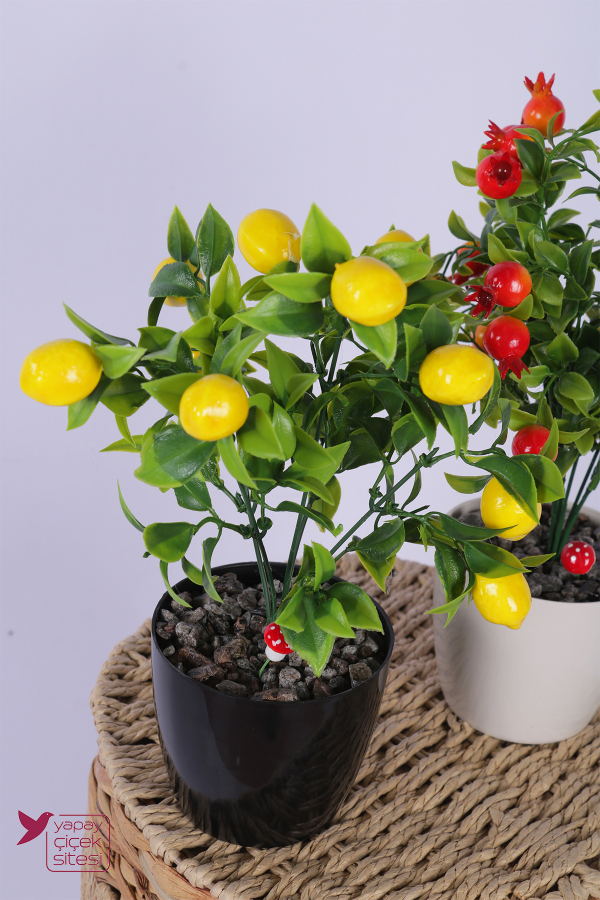 Plastik Saksıda Yapay Mini Limon & Nar Tanzimi 2’li Set 33 cm - 2