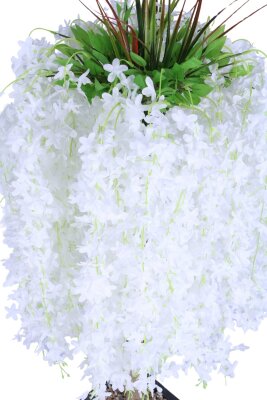 Premium Akasya Ağacı 130 Cm Beyaz - 2