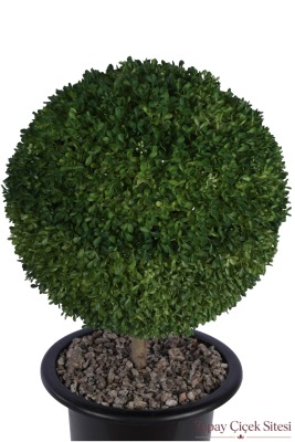 Siyah Saksıda Dekoratif Kaliteli Yapay Top Şimşir UV Dayanımlı 80 cm - 3