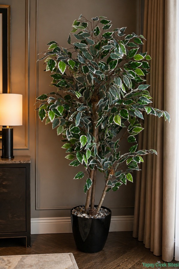 Siyah Saksıda Yapay Benjamin (Ficus) Ağacı 130 cm Yeşil-Beyaz - 1