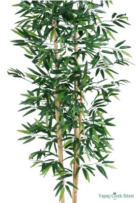 Yapay Bambu Ağacı 170 cm (Beyaz Saksılı) - 2