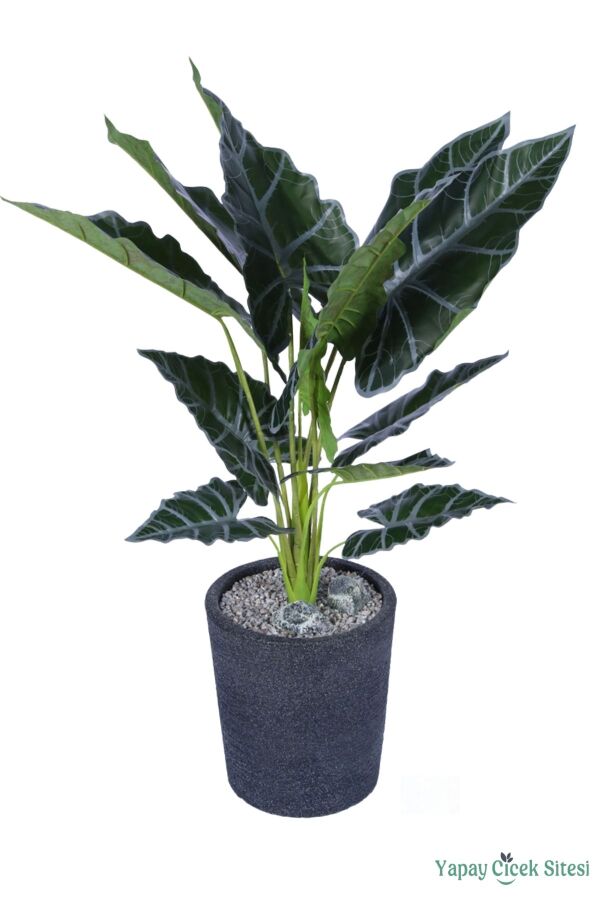 Yapay Fil Kulağı Bitkisi 120 cm Bohem Siyah Saksıda - 1
