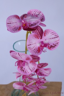 Yapay İri Kandilli Islak Dokuda Orkide Dalı 85 cm Fuşya Pembe - 4