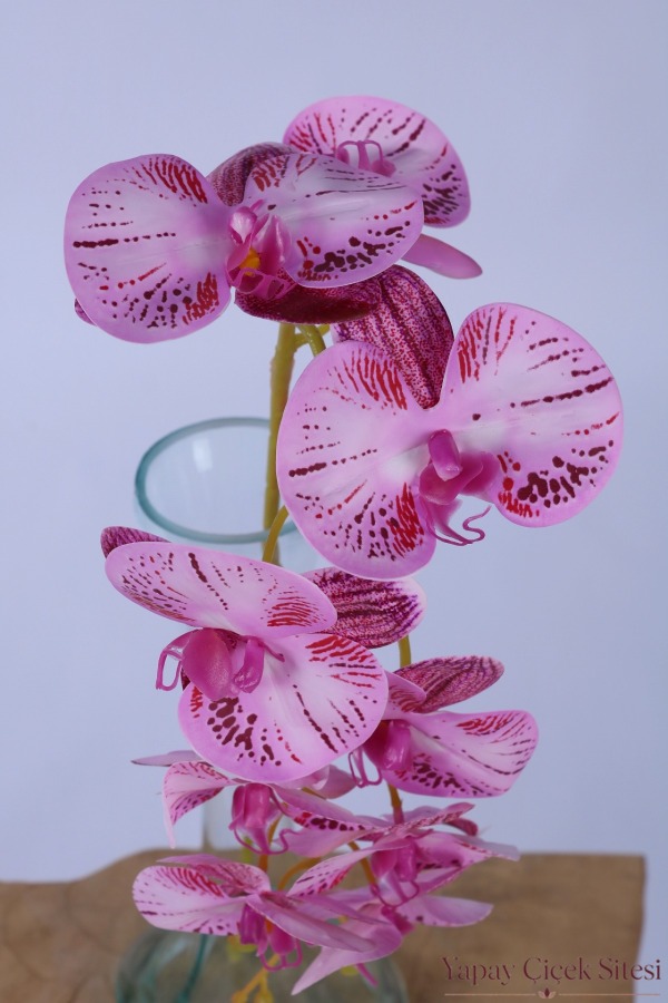 Yapay İri Kandilli Islak Dokuda Orkide Dalı 85 cm Fuşya Pembe - 4