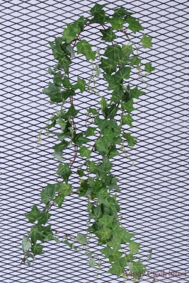 Yapay Kaliteli Hedera Helix İp Sarmaşık 180 cm - 3
