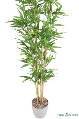 Yapay Kırçıllı Yaprak Bambu Ağacı 170 cm (Beyaz Saksılı) - 2
