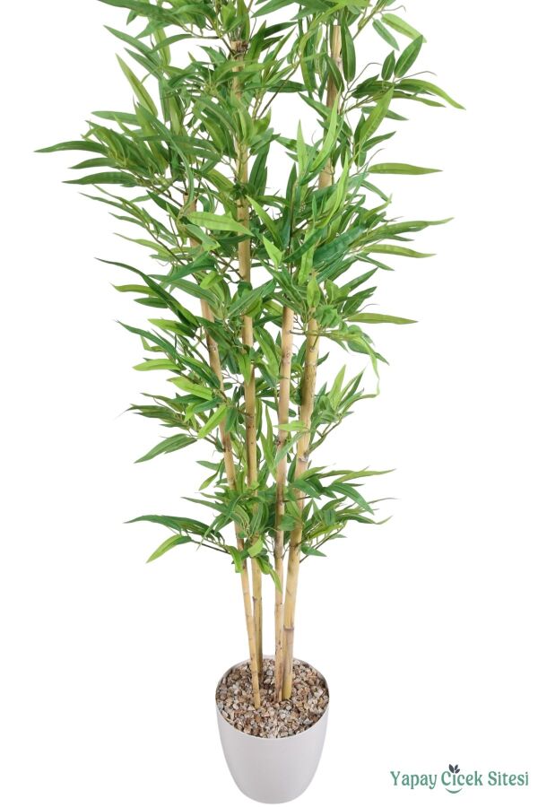 Yapay Kırçıllı Yaprak Bambu Ağacı 170 cm (Beyaz Saksılı) - 2