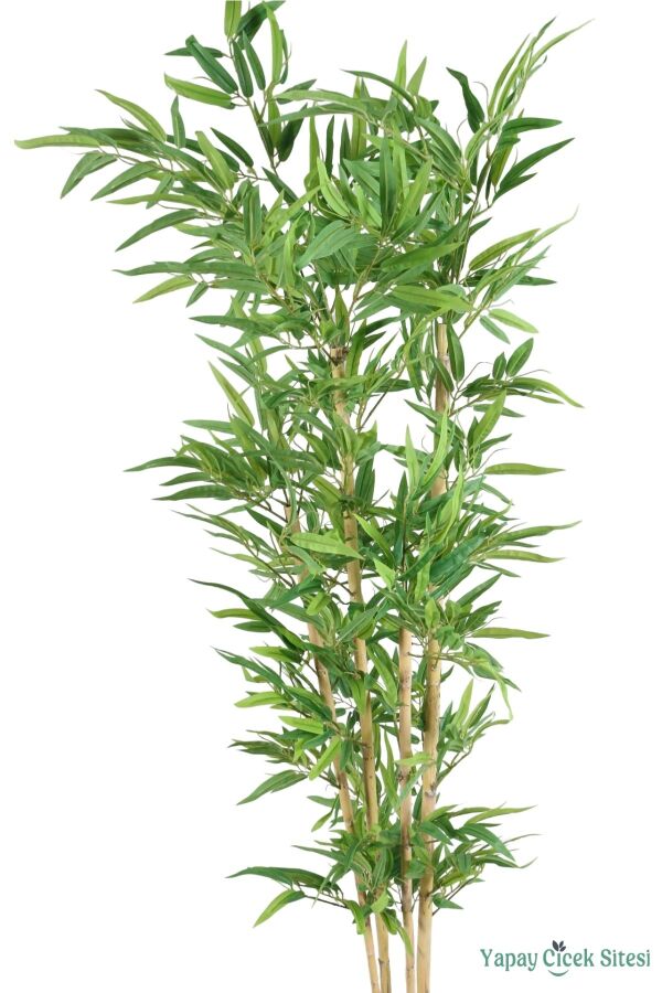 Yapay Kırçıllı Yaprak Bambu Ağacı 170 cm (Beyaz Saksılı) - 3