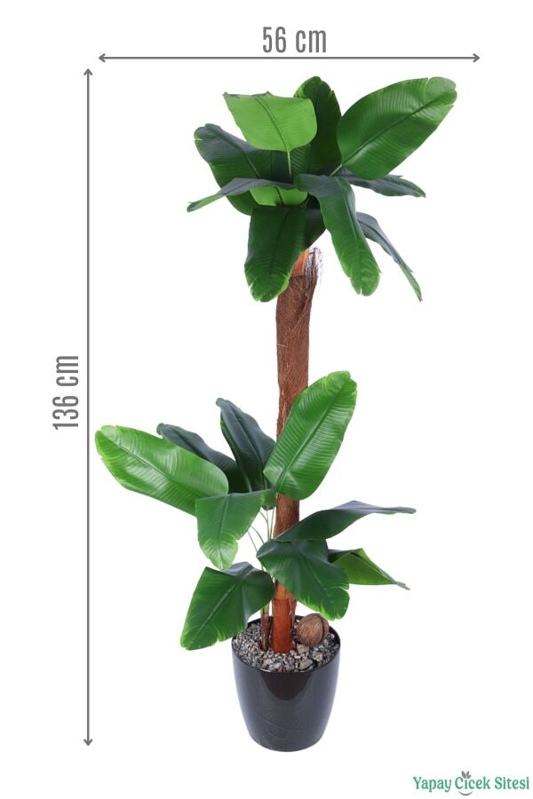 Siyah Saksıda Yapay Muz Ağacı 136cm Yeşil - 1