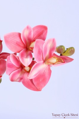 Yapay Tek Dal Singapur Orkidesi 72 cm Pembe - 5