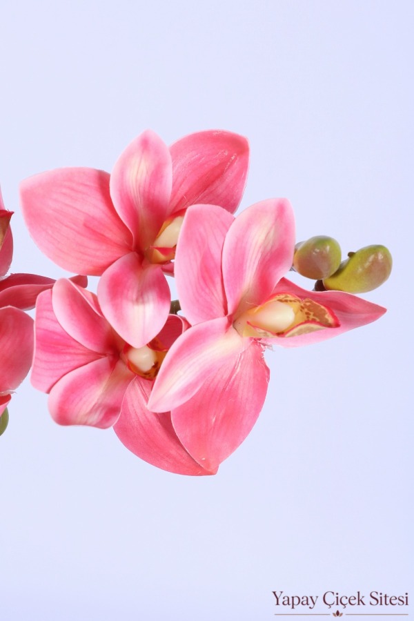 Yapay Tek Dal Singapur Orkidesi 72 cm Pembe - 5